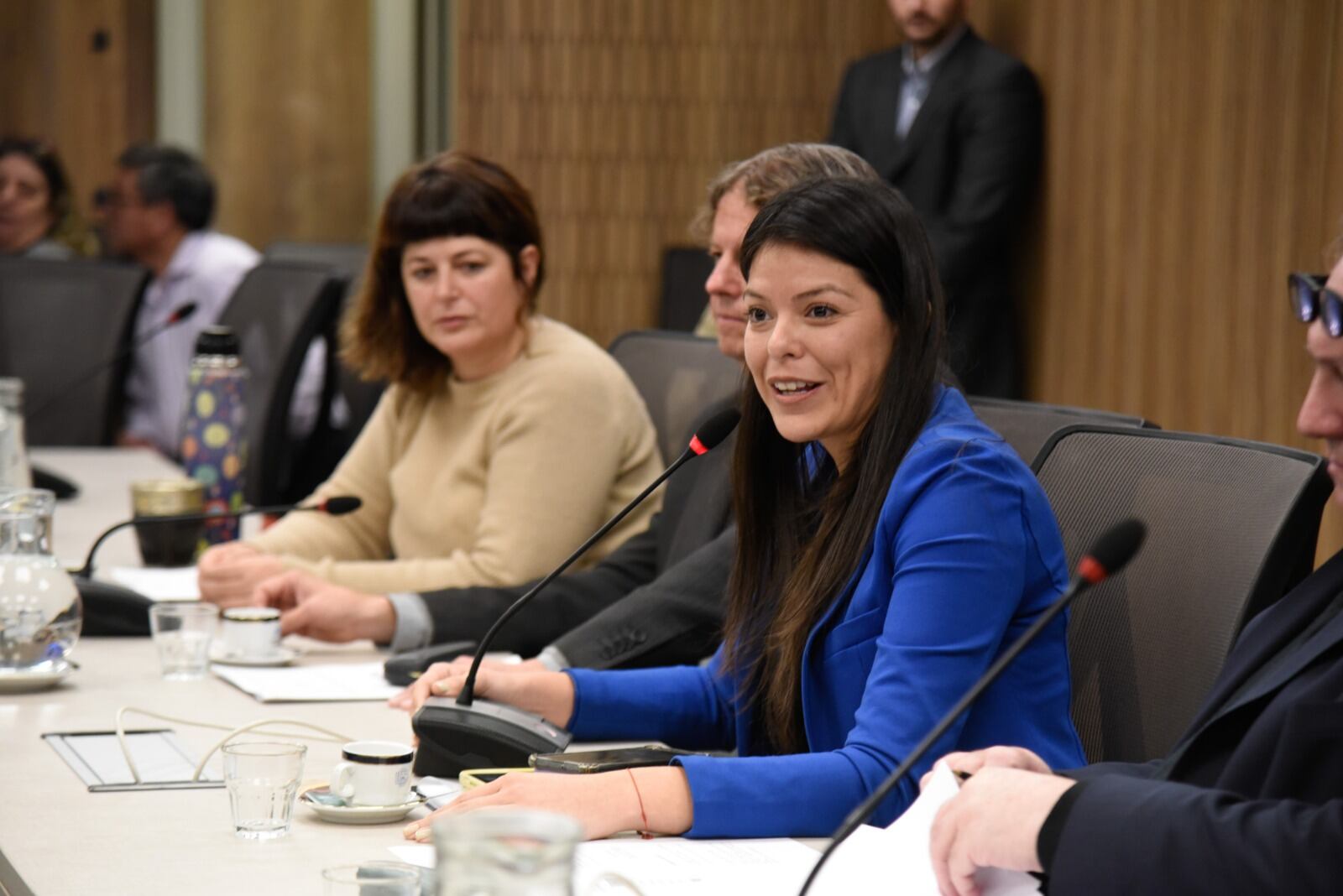 Presión opositora para que LLA reactive la Comisión de Libertad de Expresión por los ataques a la prensa